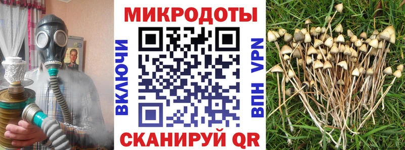 Купить  Якутск  Галлюциногенные грибы Magic Shrooms 
